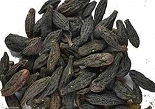 این محصولات مراقبتی اصلا مجوز ندارند + لیست برندها