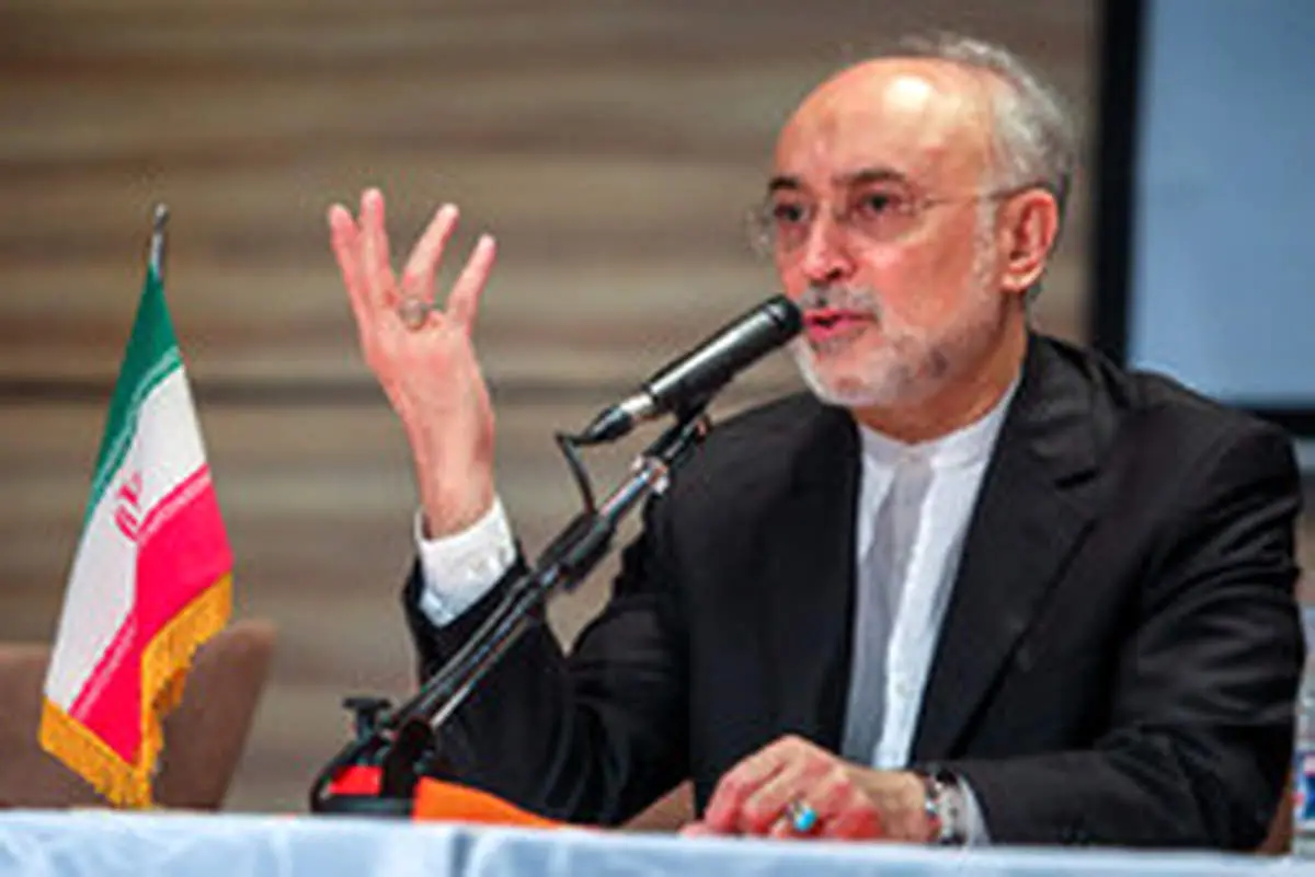 صالحی: بدون برجام، خدا میداند چه پیش میآید
