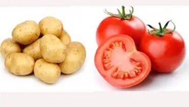 قیمت گوجه فرنگی به ۹ هزار تومان رسید!‍