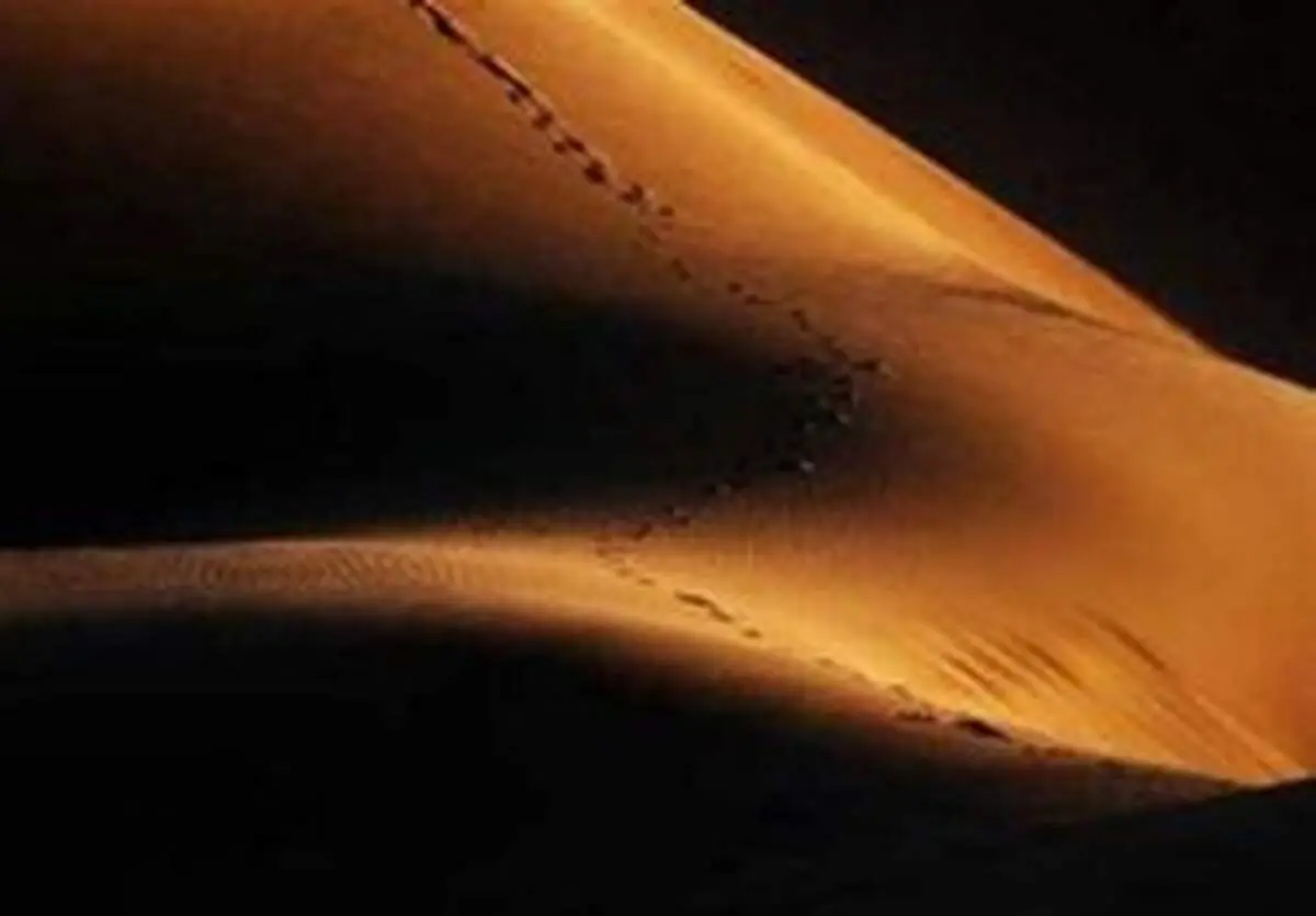 گمشده کویر مرنجاب پس از ۳ روز پیدا شد