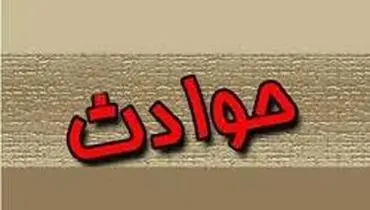 داماد ۱۸ ساله همسرش را با سم کشاورزی کشت!
