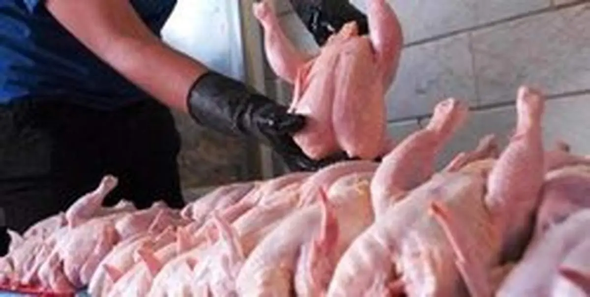مرغ تا دو ماه دیگر از بام گرانی پایین نمیآید