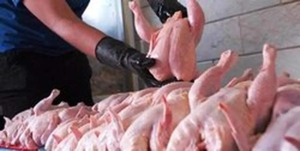 مرغ تا دو ماه دیگر از بام گرانی پایین نمی‌آید