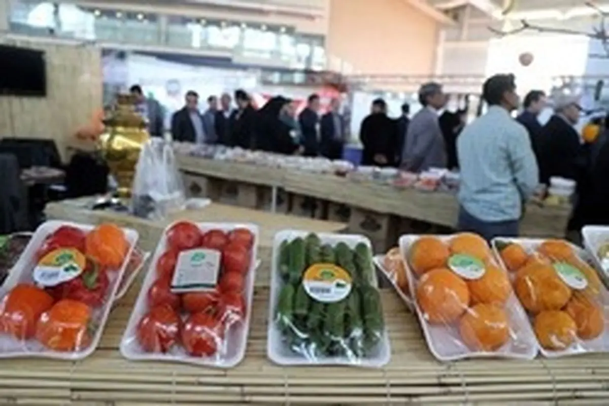 ایرانی‌ها غذای مردم یک کشور را اسراف می‌کنند و دور می‌ریزند