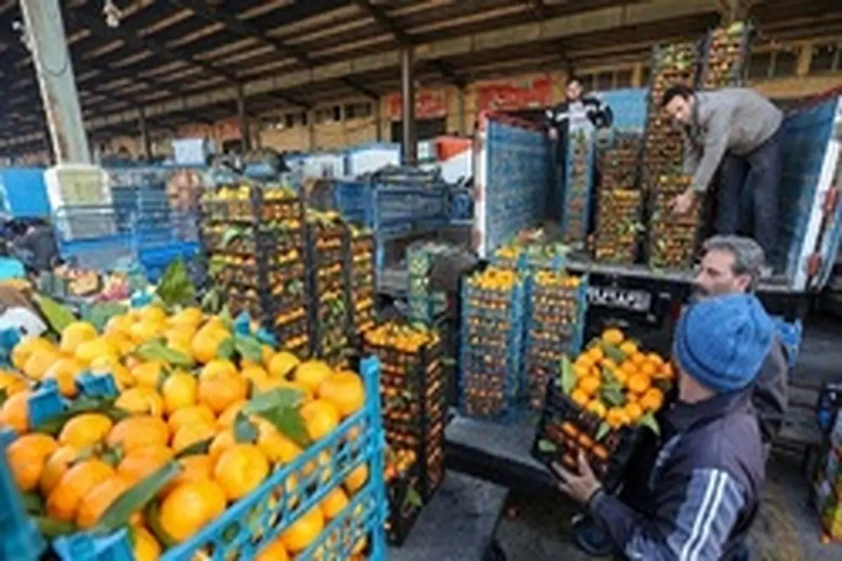 آخرین قیمت میوه، تره‌بار ‌و مواد پروتئینی در تهران +جدول