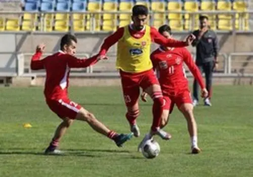 وحید هاشمیان سرمربی پرسپولیس شد