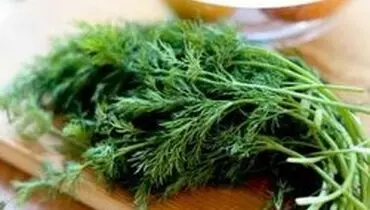 چگونه در خانه شوید پرورش دهیم؟