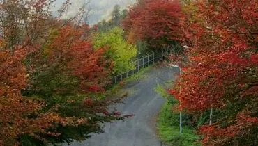 جاده‌ای دیدنی در تالش + عکس