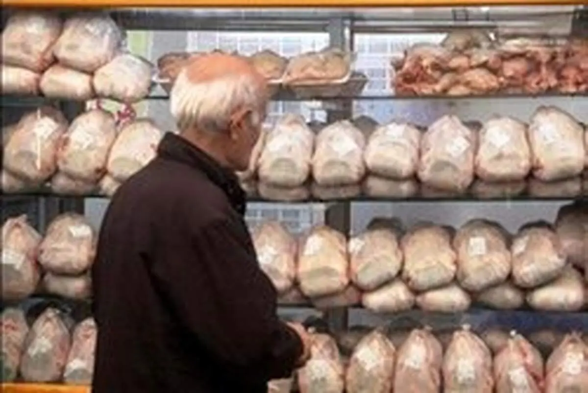 عرضه مرغ آماده طبخ به قیمت ۱۳ هزار و ۹۰۰ تومان