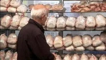 عرضه مرغ آماده طبخ به قیمت ۱۳ هزار و ۹۰۰ تومان