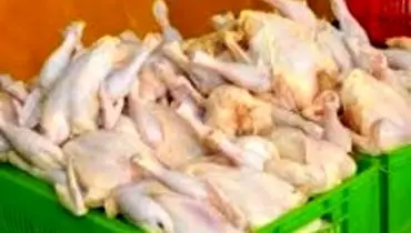 توزیع مرغ منجمد ۸۹۰۰ تومانی از فردا