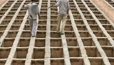 ماجرای اختصاص قبر رایگان به قمی‌ها