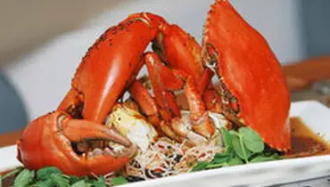 خوردن کدام آبزیان دریایی حلال است؟