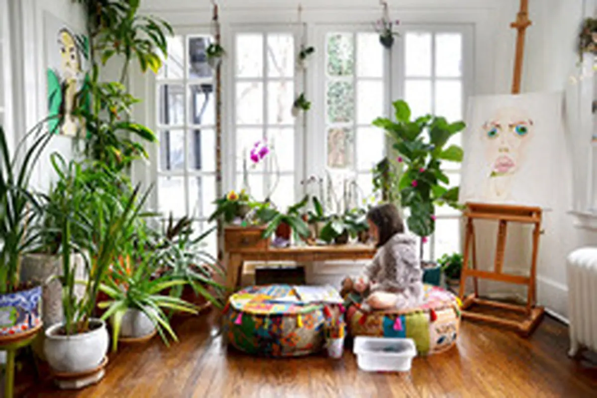 بهترین گیاهان آپارتمانی برای نگهداری در هر یک از فضاهای منزل