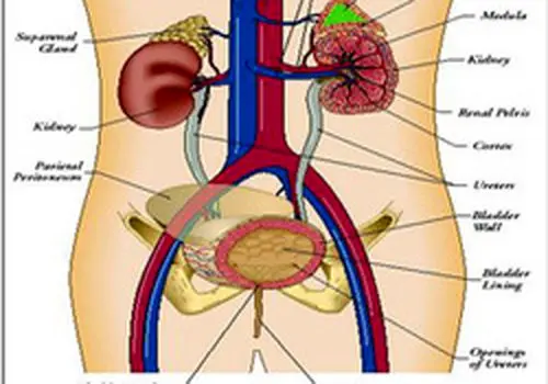 علت سوزش کف پا و راههای درمان آن

