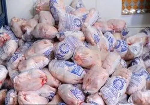 توزیع گوشت مرغ تنظیم بازار آغاز شد