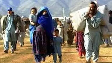 ابتلای درصد بالایی از مهاجرین غیرقانونی به بیماری‌های واگیردار