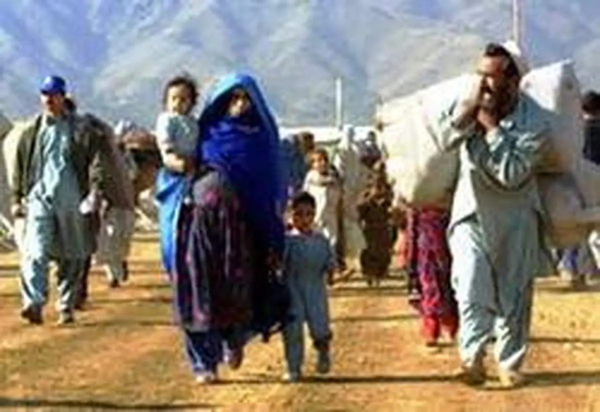 ابتلای درصد بالایی از مهاجرین غیرقانونی به بیماریهای واگیردار