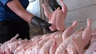 قیمت مرغ ۲۰۰ تومان کاهش یافت