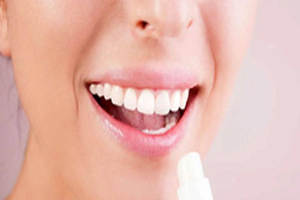 پرایمر لب چیست و چه ویژگیهایی دارد؟