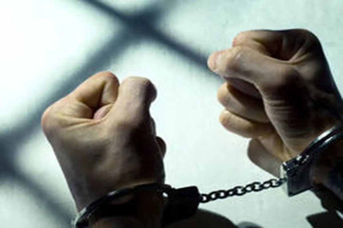 دستگیری ۱۲ نفر به اتهام اخلال در نظام ارزی