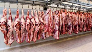 واردات دام زنده برای تعدیل قیمت گوشت