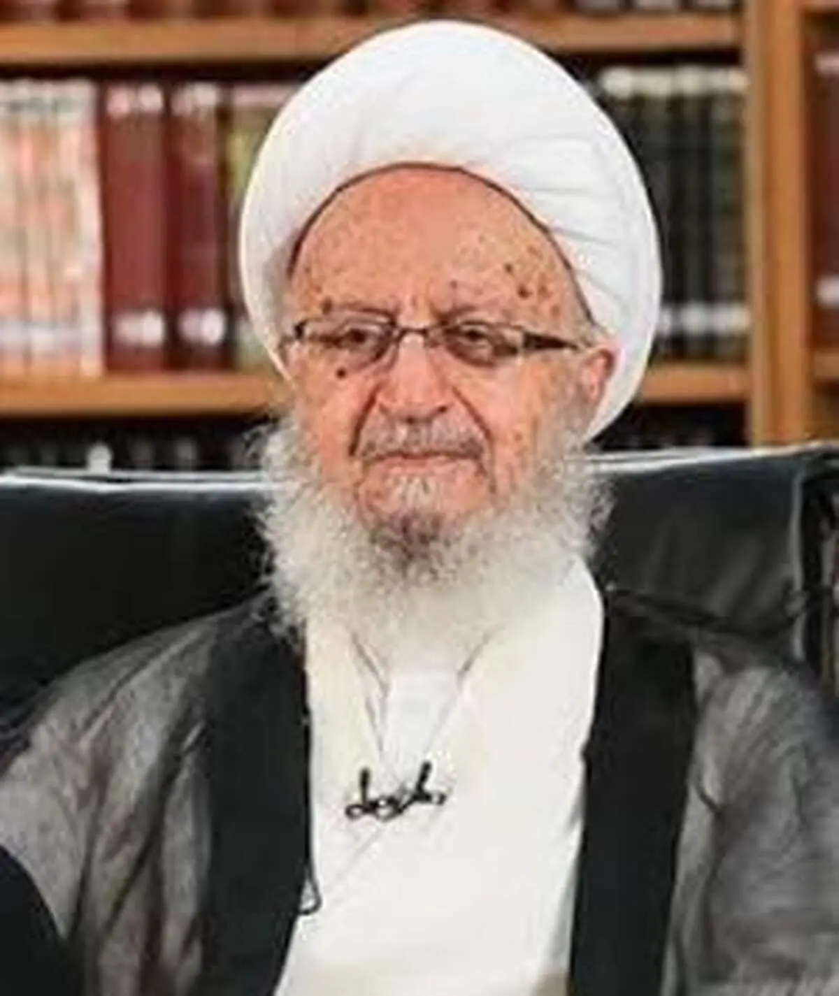 انتقاد آیت‌الله مکارم از شیوه خصوصی‌سازی در ایران