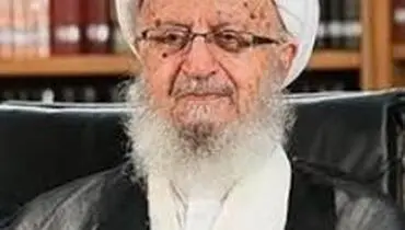 انتقاد آیت‌الله مکارم از شیوه خصوصی‌سازی در ایران