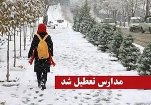 خانه های این روستا زیر برف مدفون شد!+فیلم