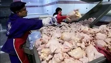 نرخ مرغ بعد از پرواز، آرام گرفت