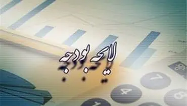 بودجه‌هایی که معلوم نیست صرف چه چیزی می‌شود؟