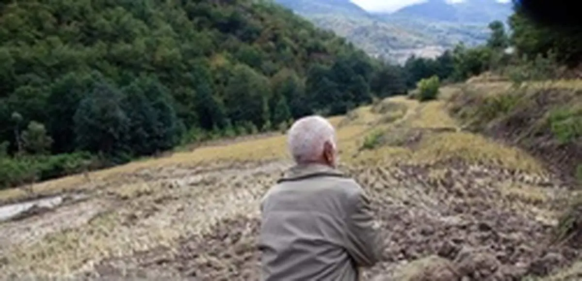 کدام نقطه مازندران خاک آلودهتری دارد؟