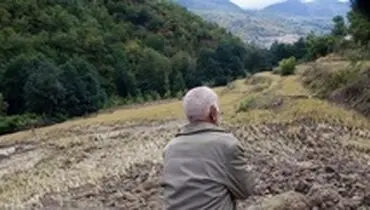 کدام نقطه مازندران خاک آلوده‌تری دارد؟