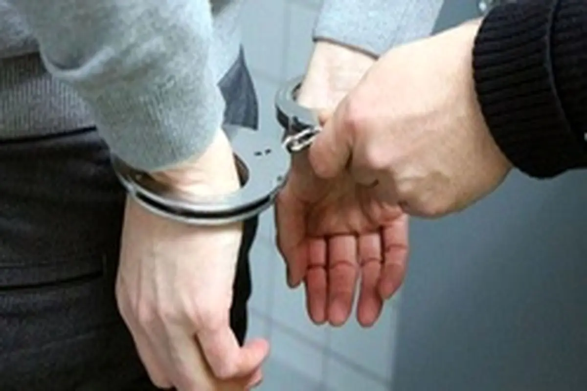 کفتار سیاه در تهران دستگیر شد