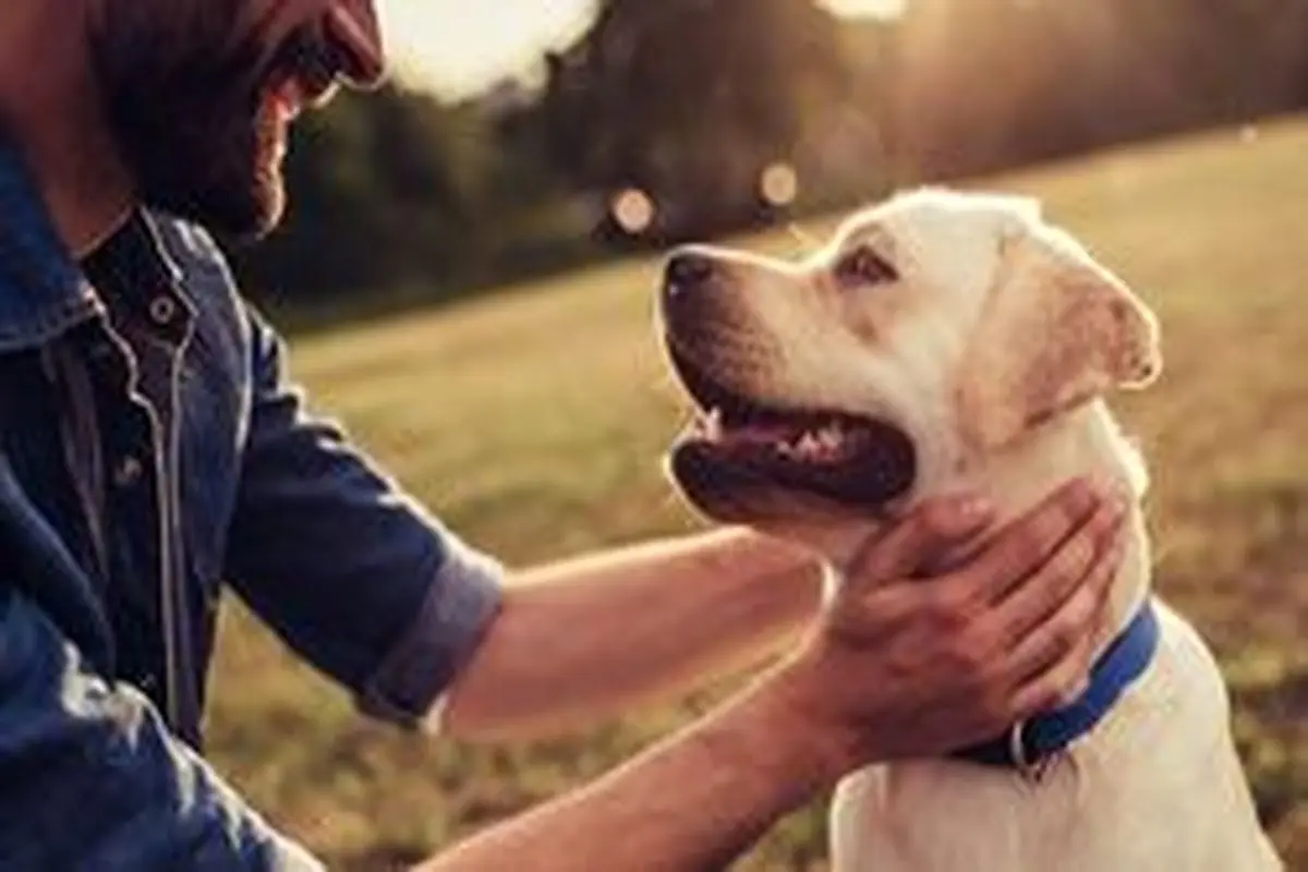 چند روش ساده برای شاد نگه داشتن سگ