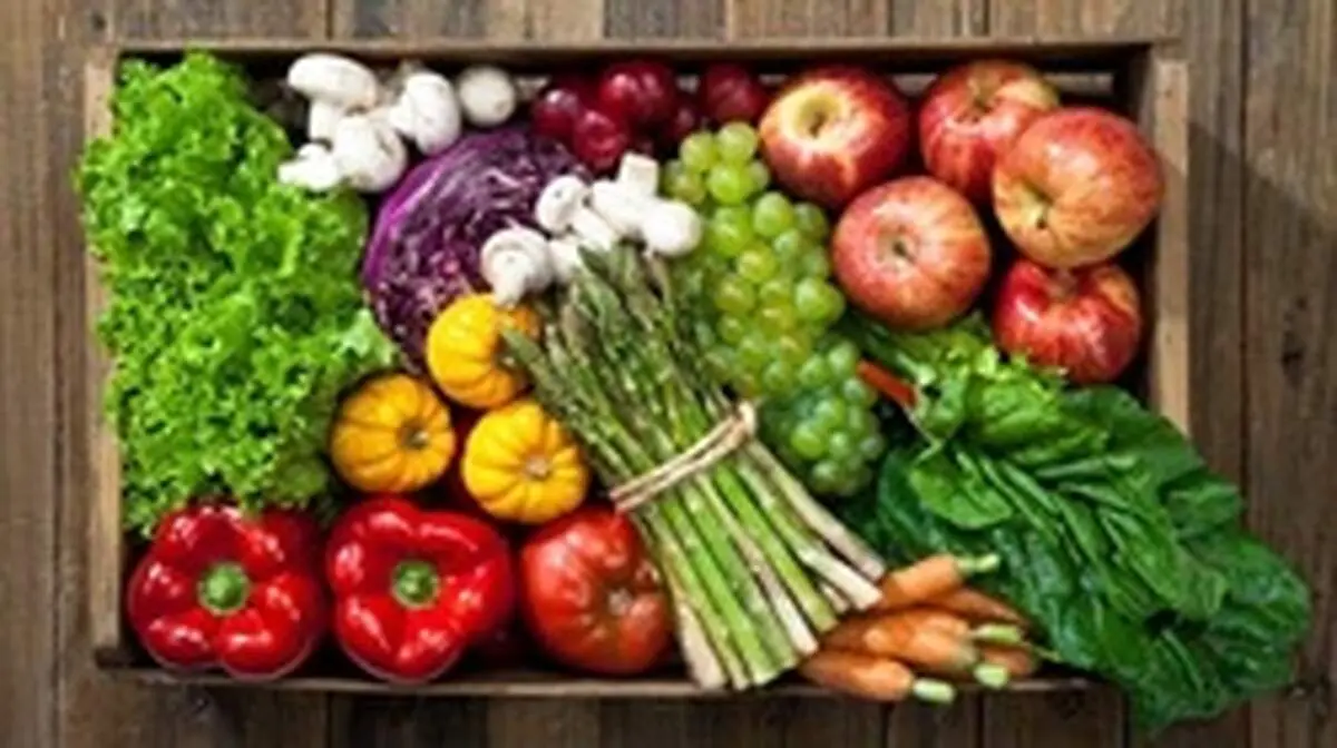 عوارض گیاهخواری در کاهش حجم عضلات