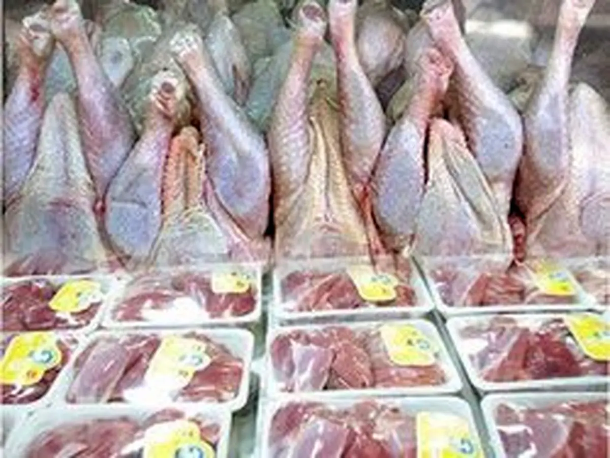 واردات گوشت و تخممرغ تا ارزانی ادامه دارد