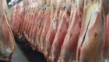 توزیع گسترده گوشت قرمز ۲۹ و ۴۰ هزار تومانی در روز‌های آینده