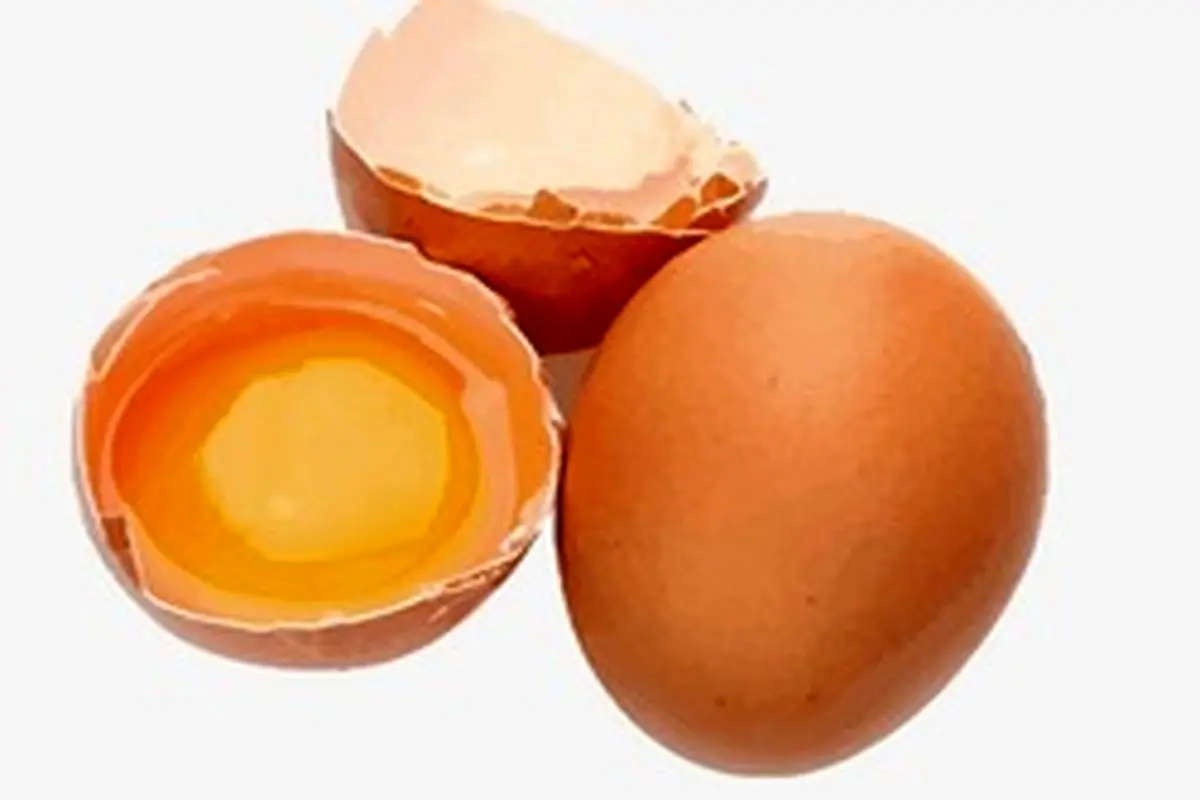 فواید تخم مرغ برای درمان کم خونی