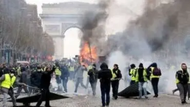 حضور خروس زرد پوش در میان معترضان فرانسه +عکس