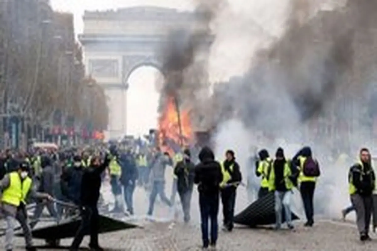 حضور خروس زرد پوش در میان معترضان فرانسه +عکس