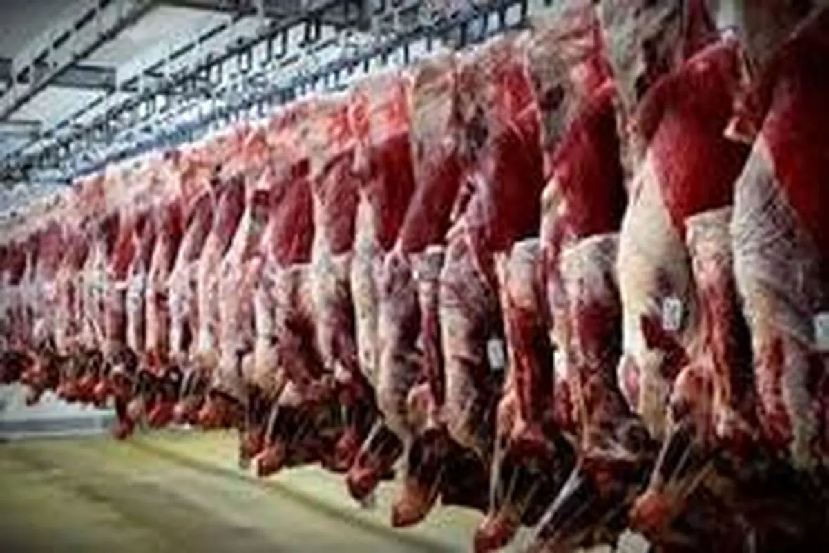 توزیع نامحدود گوشت گوسفندی ۴۰ هزار تومانی