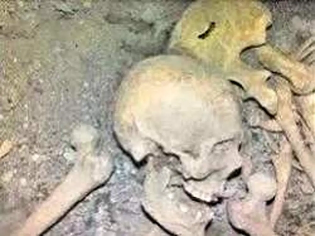 کشف اسکلت ۵۰ هزار ساله در یک خانه