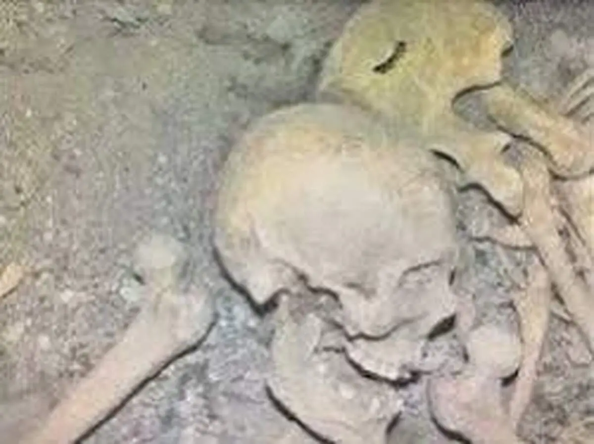کشف اسکلت ۵۰ هزار ساله در یک خانه