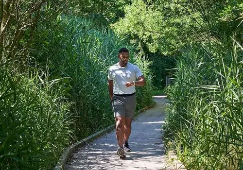 قانون ۶-۶-۶؛ روشی ساختارمند برای پیاده‌روی و کاهش روند پیری

