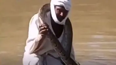 مار غول‌پیکر بوآ دور گردن ماهیگیر/فیلم