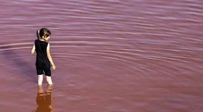 دریاچه ارومیه رکورد زد