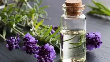 داروهای گیاهی می‌توانند عارضه داشته باشند/ منع مصرف داروهای گیاهی در زنان باردار
