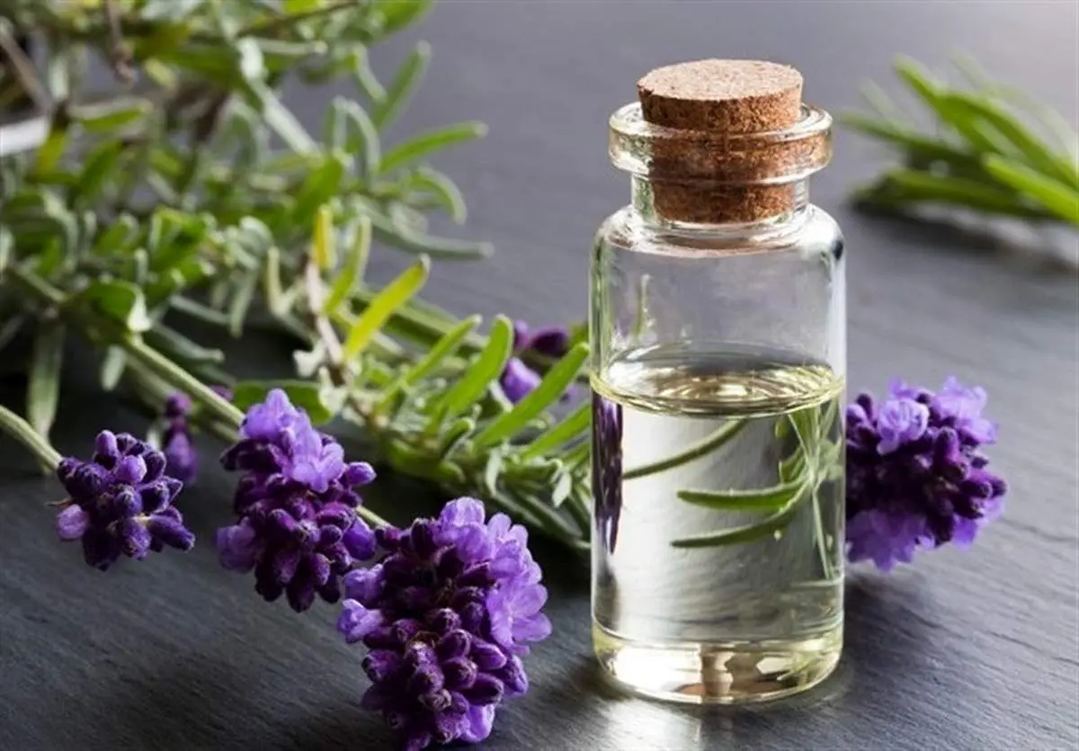 داروهای گیاهی می‌توانند عارضه داشته باشند/ منع مصرف داروهای گیاهی در زنان باردار
