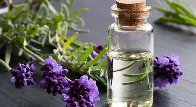 داروهای گیاهی می‌توانند عارضه داشته باشند/ منع مصرف داروهای گیاهی در زنان باردار
